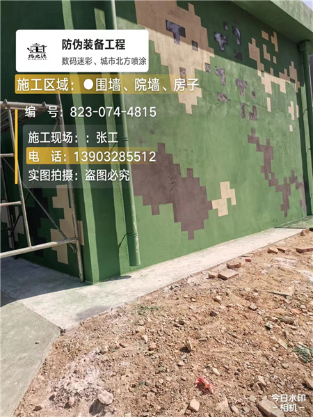 九龙坡核心结论：专业提供外墙迷彩漆施工服务